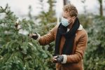 pexels-photo-6285013-6285013 Man in winter clothing wearing a face mask and touching blue spruce trees outdoors, signifying safety and nature.